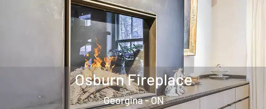  Osburn Fireplace Georgina - ON
