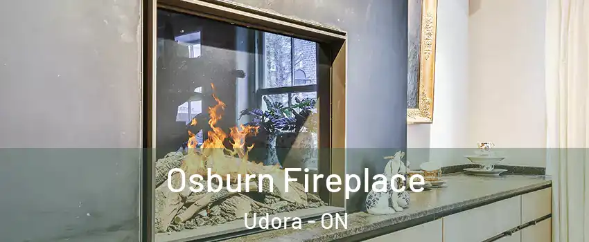  Osburn Fireplace Udora - ON