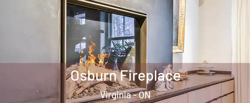  Osburn Fireplace Virginia - ON