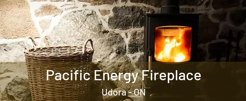  Pacific Energy Fireplace Udora - ON