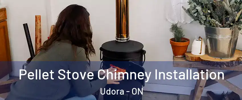  Pellet Stove Chimney Installation Udora - ON