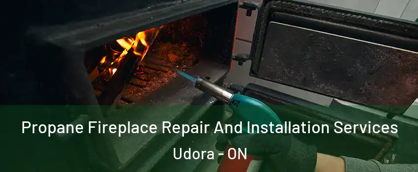 Propane Fireplace Repair And Installation Services Udora - ON