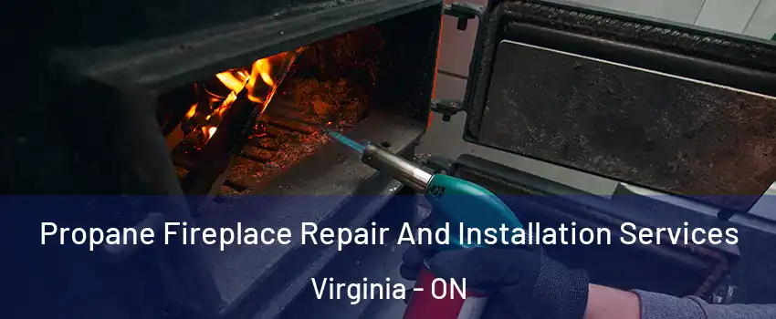 Propane Fireplace Repair And Installation Services Virginia - ON
