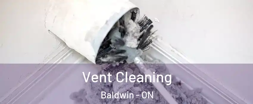  Vent Cleaning Baldwin - ON