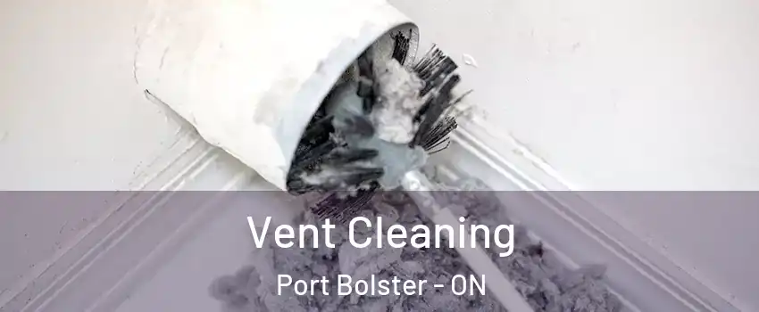  Vent Cleaning Port Bolster - ON