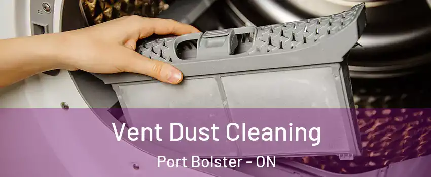  Vent Dust Cleaning Port Bolster - ON