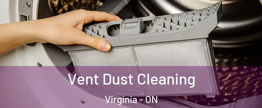  Vent Dust Cleaning Virginia - ON