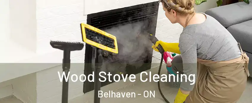  Wood Stove Cleaning Belhaven - ON