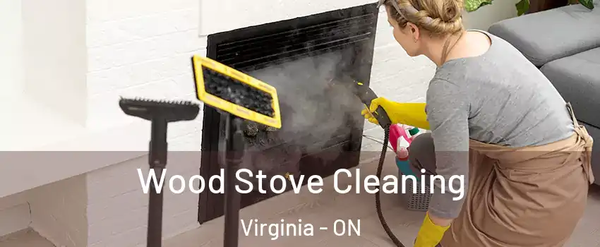  Wood Stove Cleaning Virginia - ON